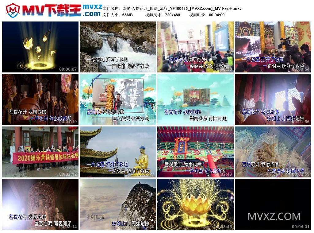 柴俊-菩提花开_国语_流行_YF100485